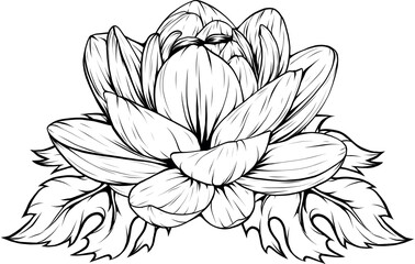 Illustration of lotus flower outline vector design