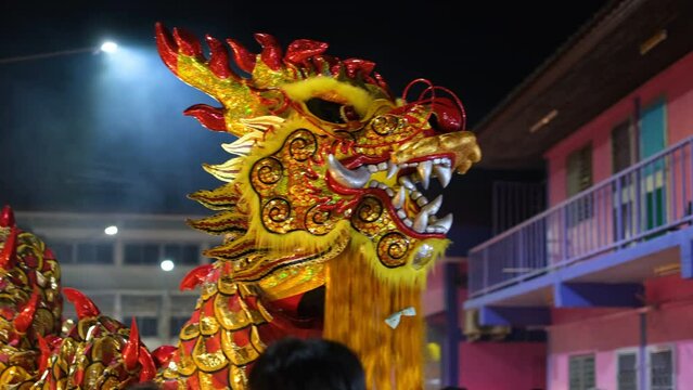 person performing a dragon dance during Chinese New Year celebrations is believed to bring blessings and good fortune for the upcoming year. Hidden under a dragon costume, performers move in harmony