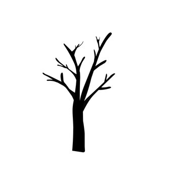 Naked Trees Silhouettes 