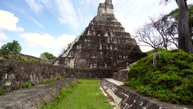 Gimbal walking past Mayan temple in Tikal