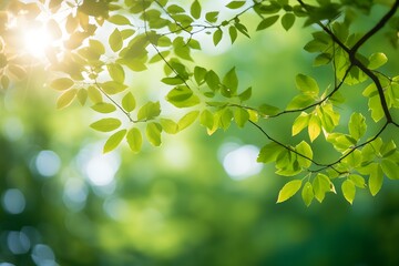 Fototapeta na wymiar Golden rays of sunlight filtering through lush green foliage of a serene forest Generative AI