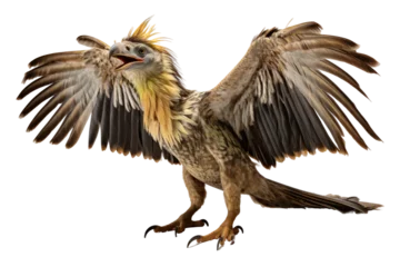 Türaufkleber Archaeopteryx Ancient Feath on a White or Clear Surface PNG Transparent Background © Usama