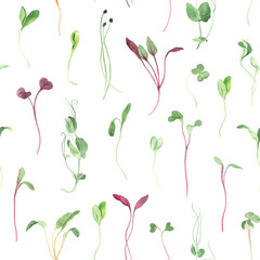 Seamless pattern with fresh microgreens, watercolor illustration delicate plants for wrapping paper, kitchen textile or background. Isolated hand drawn print with symbols healthy food.