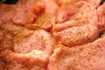 Slices of raw turkey with spices