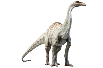 Brachiosaurus Towering Titan on a White or Clear Surface PNG Transparent Background - obrazy, fototapety, plakaty