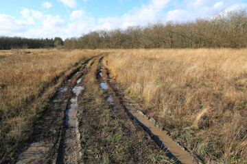 dirt road on autumn meadow