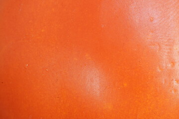 Tomato skin ,  close up view