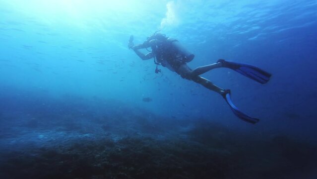 Photography, swimming in ocean and scuba diving in coral reef in Raja Ampat with biodiversity, ecology or tropical environment. Calm blue sea, underwater and person with camera on adventure in nature