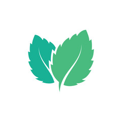 Natural leaf mint logo vector template symbol design - obrazy, fototapety, plakaty
