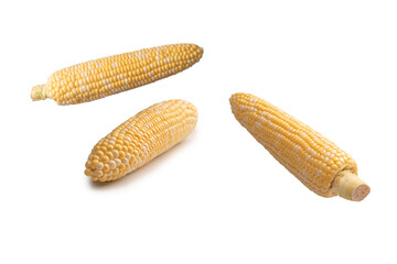 Yellow corn isolated on white background. Copyspace.
