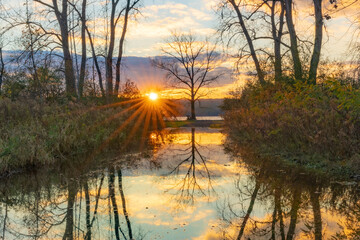 Inspiring outdoor evening sunset with a single tree in the center of a opening with water.  