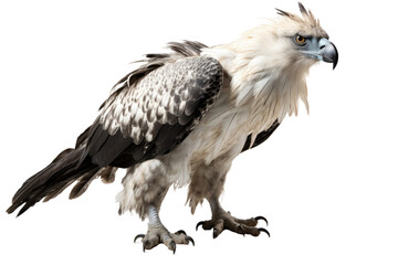 Harpy Eagle Sky Sovereign on a White or Clear Surface PNG Transparent Background - obrazy, fototapety, plakaty