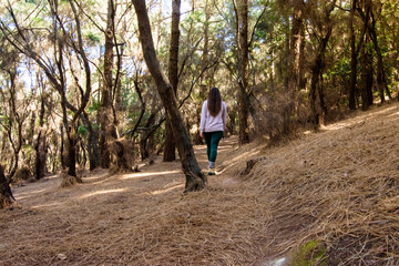 Fototapeta na wymiar Woman walking in the forest
