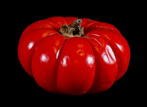 Rote Aubergine (melanzana rossa)