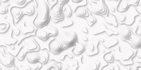 Topographic map. Geographic mountain relief. Abstract lines background paper texture Topographic canyon geometric map relief texture with curved layers and shadow 