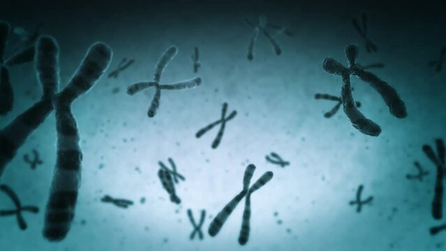 Animation of Chromosomes floating. Loopable. Encoded genetic code. DNA.