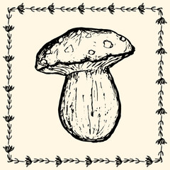 Mushroom sketch in decorative floral border. Beige card of forest harvest. Handmade drawing postcard.