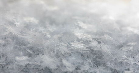 Snowy winter background. Beautiful snowflakes close up. Beauty in nature. Selective focus.
