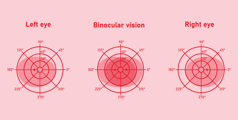 The visual field of the left and right eye. Binocular fusion and depth perception. Scientific resources for teachers and students. - obrazy, fototapety, plakaty