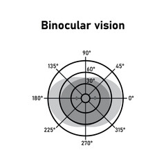 The visual field of the left and right eye. Binocular fusion and depth perception. Scientific resources for teachers and students.