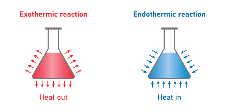 Endothermic and exothermic reactions. Heat out and heat in. Absorbing and releasing heat for chemistry reaction. Scientific resources for teachers and students.