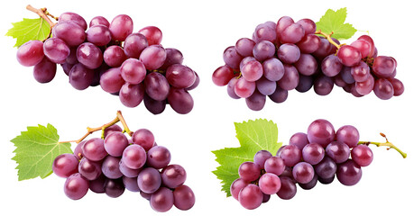 Set of ripe grapes with leaves, cut out - Powered by Adobe
