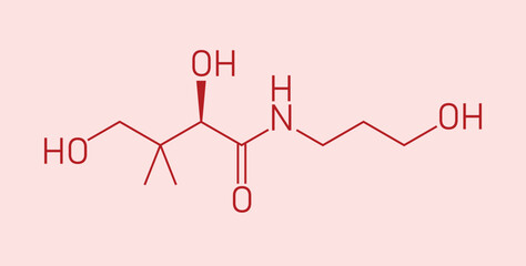 Skeletal formula of Panthenol. Chemical structure of Panthenol (C9H19NO4). Chemical resources for teachers and students. Vector illustration isolated on white background.