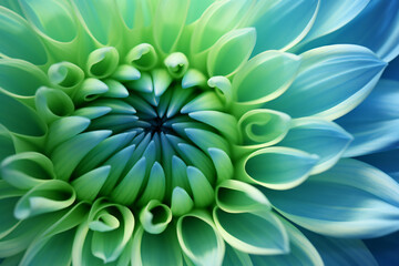 A macro shot of a blue-green chrysanthemum close-up against a multi-hued floral backdrop perfect for summer and spring.