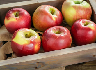 Red apples, organic apples and Chief apples, Santa Claus apples