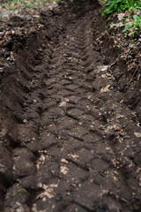 Deep, muddy tire track in the ground, with a blurred greenery background. A sign of off-road adventure.