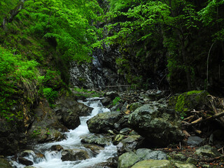 A freshwater mountain river flowing along eroded cliffs in a canyon. The wet, sharp boulders are covered with moss. Carpathia, Romania.