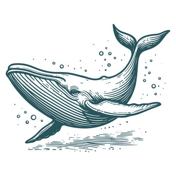 Blue whale vector illustration. Big wave and sea fish in vintage style. Jumping in the ocean humpback whale, Generative AI