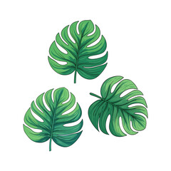 Fototapeta premium set of green leaves illustration design