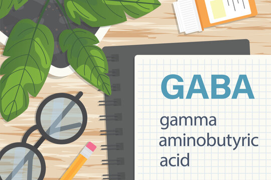 GABA gamma-Aminobutyric acid concept; inhibitory neurotransmitter in the central nervous system- vector illustration