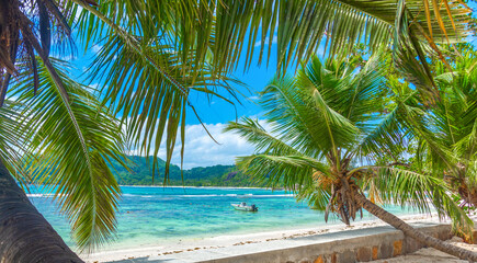 Boat by the shore in a tropical beach