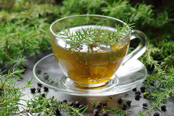 Juniper tea or medical drink with spruce and berries on black background, copy space, green medicine, natural skin and hair care, aromatherapy and spa, winter holiday concept