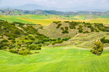 Lucania summer countryside landscape, Val D'Agri, Basilicata, Italy