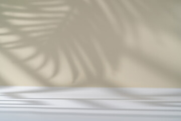 Shadow of tropical palm leaves and geometric shapes on white wall. Minimal abstract light white...