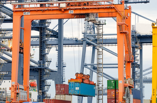 RTG cranes are lifting containers at the port.