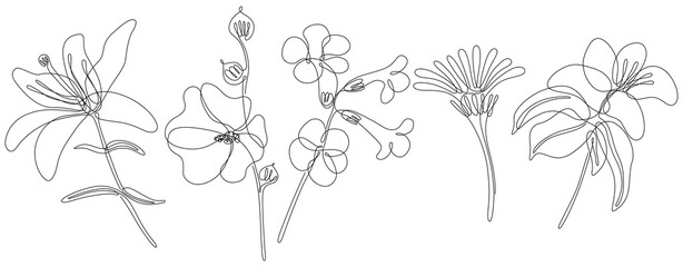 Flowers isolated on white illustration collection. Wildflowers for background. Abstract botanical art. Simple minimalist art set. Continuous line drawing set.