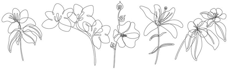 Flowers isolated on white illustration collection. Wildflowers for background. Abstract botanical art. Simple minimalist art set. Continuous line drawing set.