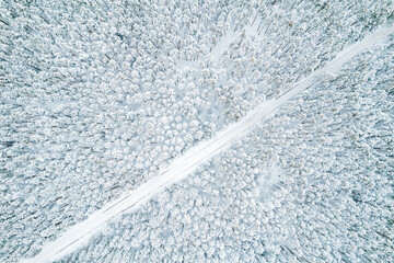 top view of the road in the winter forest. trees covered with snow