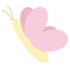 pink butterfly 