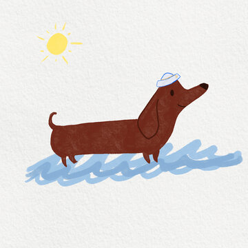 hot dog