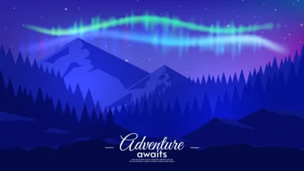 Muurstickers Aurora borealis overnight lake in starry sky, polar lights landscape. Adventure concept. Flat style vector illustration. © Goldenboy_14