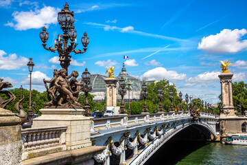 Fototapeta premium Bridge Pont Alexandre III in Paris, France