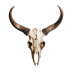 bull skull on transparent background PNG