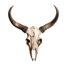 Crédence de cuisine en verre imprimé Buffle bull skull on transparent background PNG