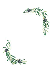 Olive tree square vertical frame. Black olives and branches. Hand drawn watercolor botanical illustration isolated on white background. Can be used for cards, logos and cosmetic design.