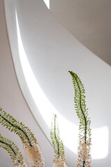 Obraz premium Flower and Leaves Close-up